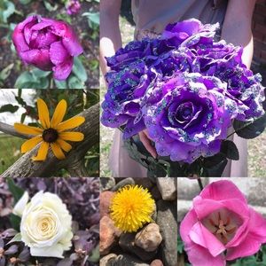 Meet your Posher, Emerson